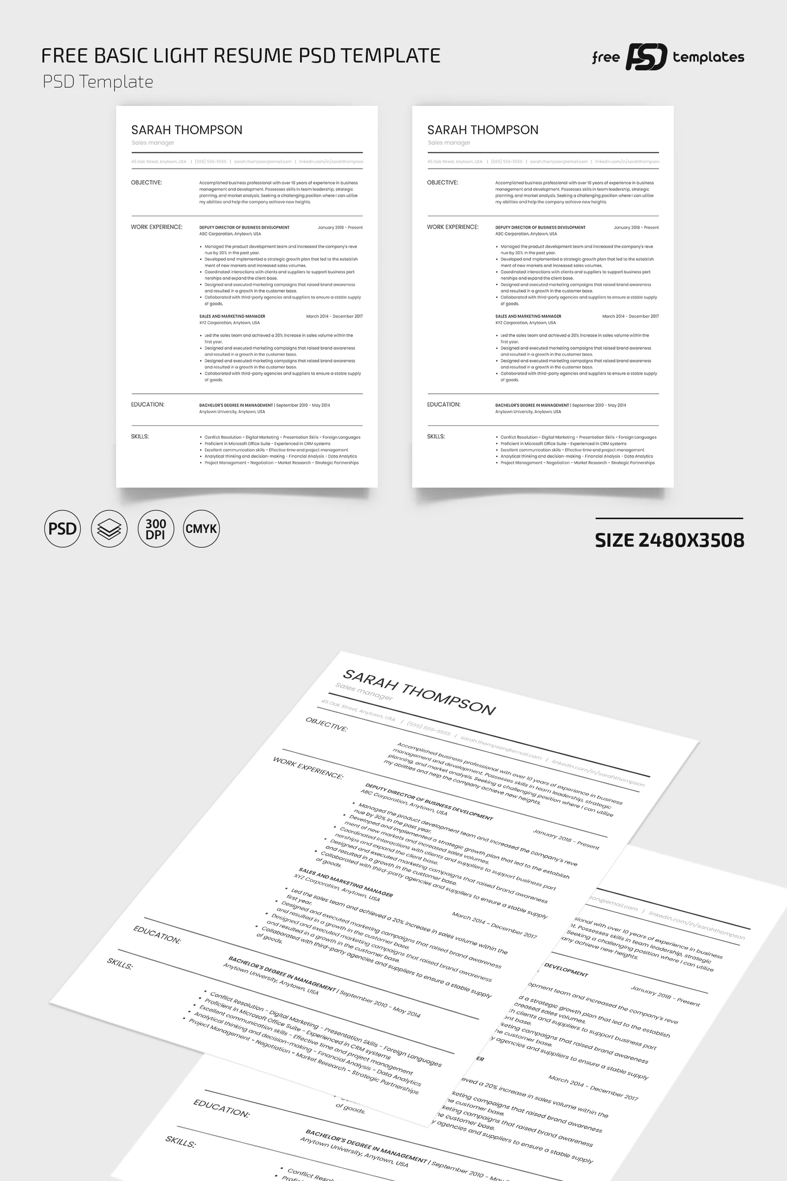 Free Basic Light Resume PSD Template